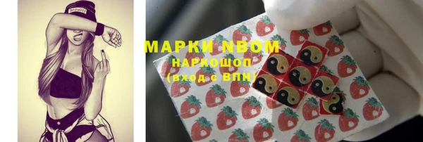 гидра Верея
