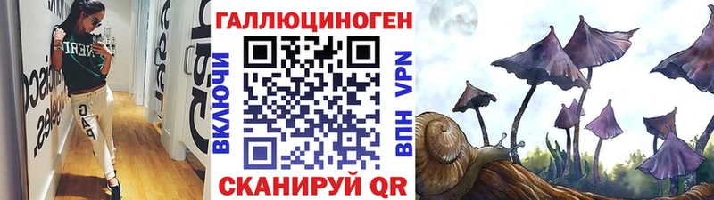Псилоцибиновые грибы Cubensis  Кимовск 